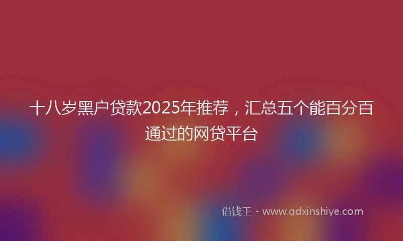 十八岁黑户贷款2025年推荐，汇总五个能百分百通过的网贷平台