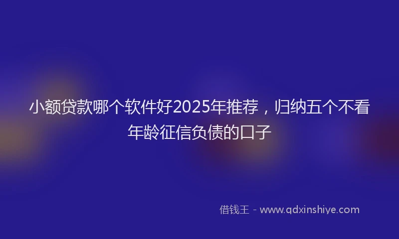 小额贷款哪个软件好2025年推荐，归纳五个不看年龄征信负债的口子
