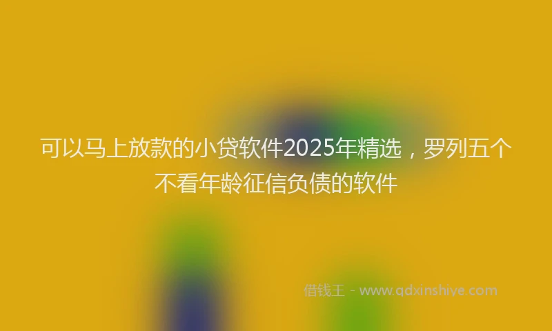 可以马上放款的小贷软件2025年精选，罗列五个不看年龄征信负债的软件