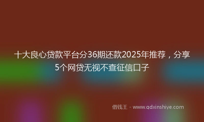 十大良心贷款平台分36期还款2025年推荐，分享5个网贷无视不查征信口子