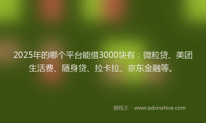 2025年的哪个平台能借3000块有：微粒贷、美团生活费、随身贷、拉卡拉、京东金融等。