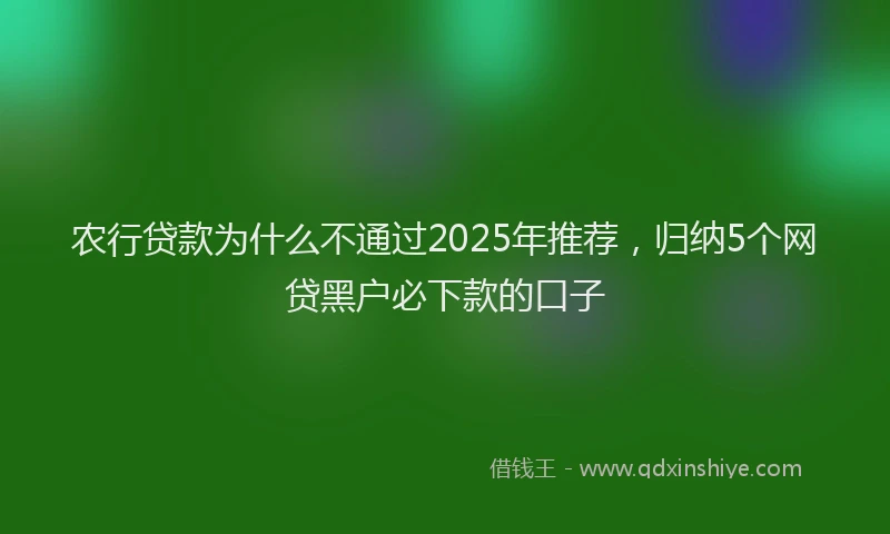 农行贷款为什么不通过2025年推荐，归纳5个网贷黑户必下款的口子