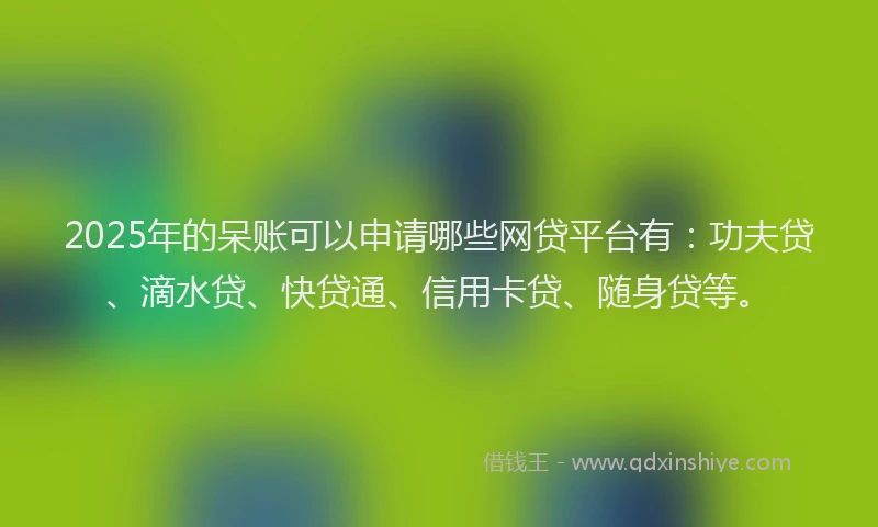 2025年的呆账可以申请哪些网贷平台有：功夫贷、滴水贷、快贷通、信用卡贷、随身贷等。