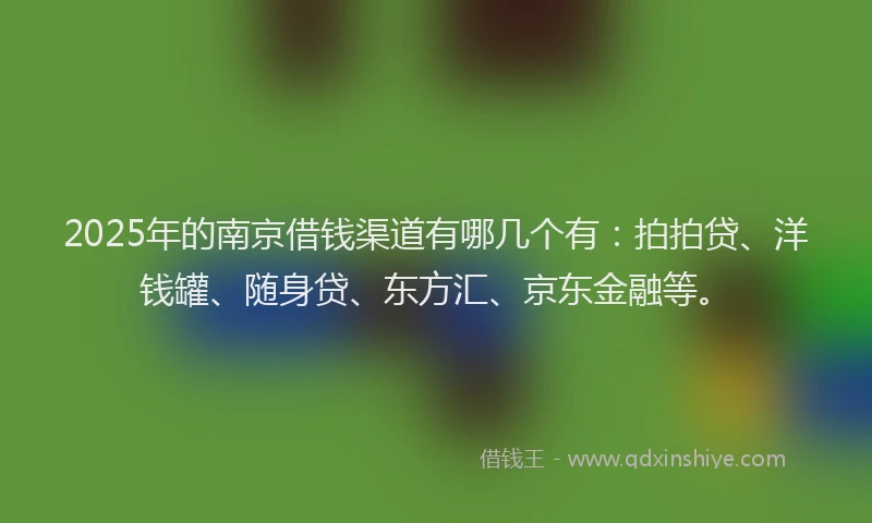 2025年的南京借钱渠道有哪几个有：拍拍贷、洋钱罐、随身贷、东方汇、京东金融等。
