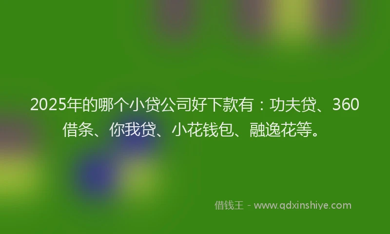 2025年的哪个小贷公司好下款有：功夫贷、360借条、你我贷、小花钱包、融逸花等。