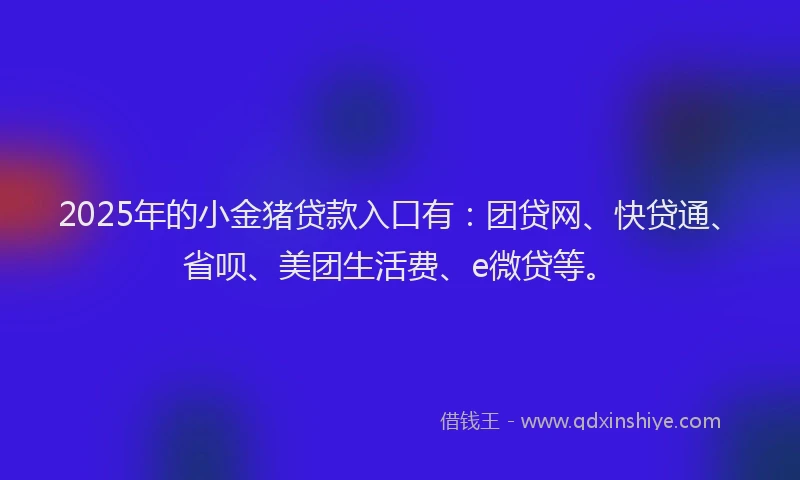 2025年的小金猪贷款入口有：团贷网、快贷通、省呗、美团生活费、e微贷等。