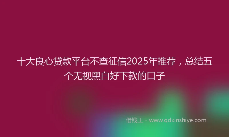 十大良心贷款平台不查征信2025年推荐，总结五个无视黑白好下款的口子