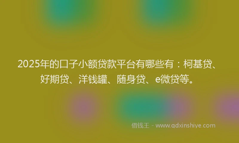 2025年的口子小额贷款平台有哪些有：柯基贷、好期贷、洋钱罐、随身贷、e微贷等。