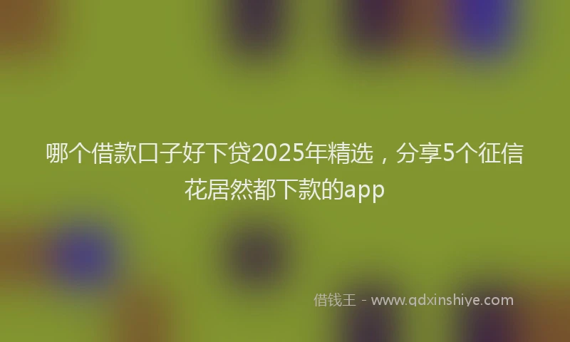 哪个借款口子好下贷2025年精选，分享5个征信花居然都下款的app