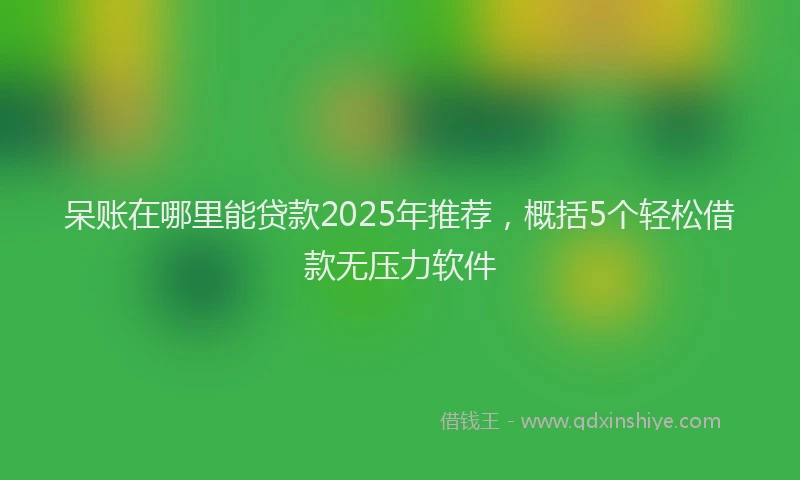 呆账在哪里能贷款2025年推荐，概括5个轻松借款无压力软件