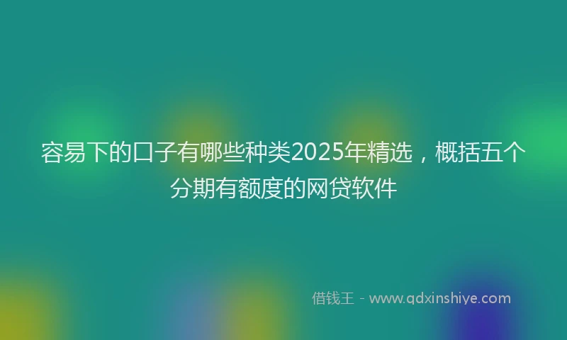 容易下的口子有哪些种类2025年精选，概括五个分期有额度的网贷软件