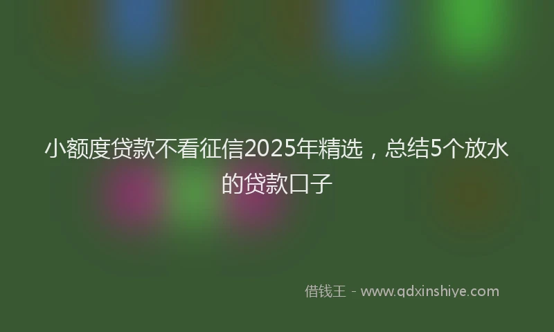 小额度贷款不看征信2025年精选，总结5个放水的贷款口子