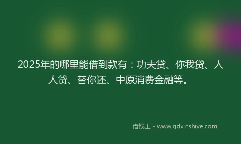 2025年的哪里能借到款有：功夫贷、你我贷、人人贷、替你还、中原消费金融等。