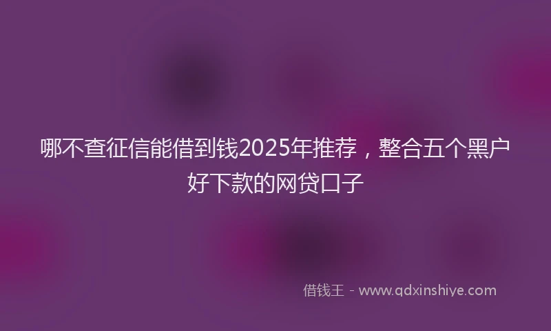 哪不查征信能借到钱2025年推荐，整合五个黑户好下款的网贷口子