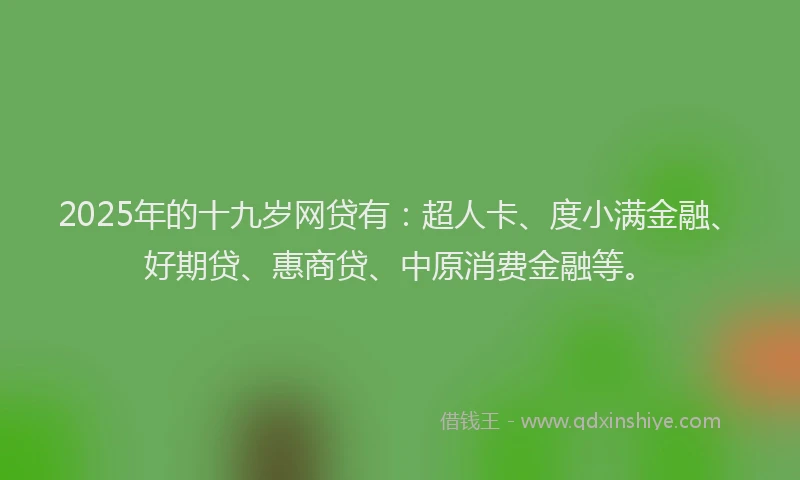 2025年的十九岁网贷有：超人卡、度小满金融、好期贷、惠商贷、中原消费金融等。