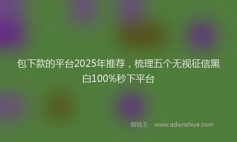 包下款的平台2025年推荐，梳理五个无视征信黑白100%秒下平台