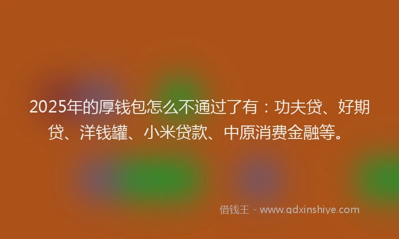 2025年的厚钱包怎么不通过了有：功夫贷、好期贷、洋钱罐、小米贷款、中原消费金融等。