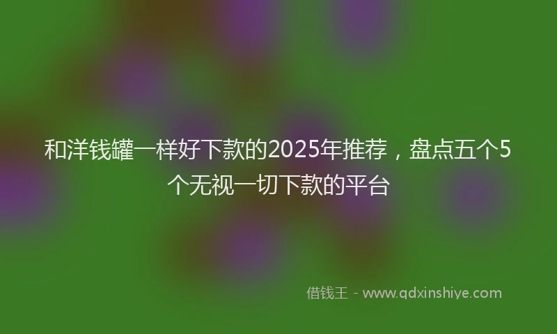 和洋钱罐一样好下款的2025年推荐，盘点五个5个无视一切下款的平台