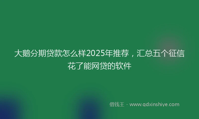大鹅分期贷款怎么样2025年推荐，汇总五个征信花了能网贷的软件