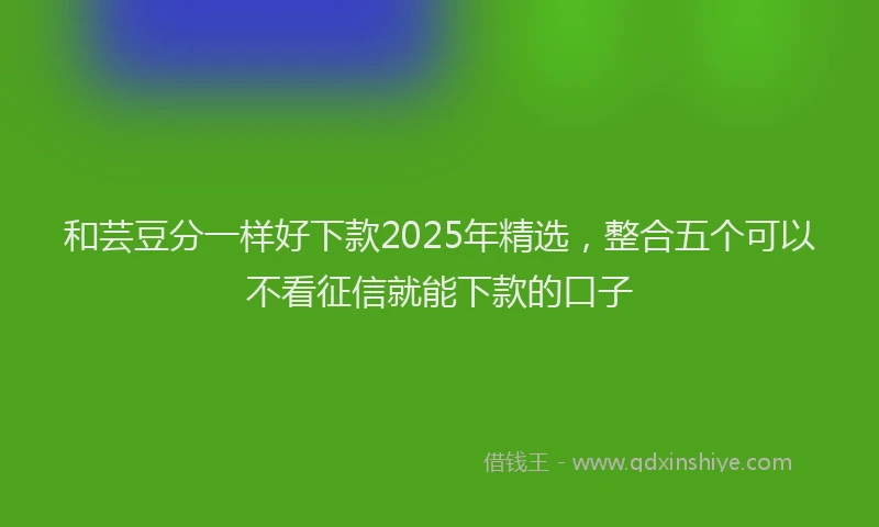 和芸豆分一样好下款2025年精选，整合五个可以不看征信就能下款的口子