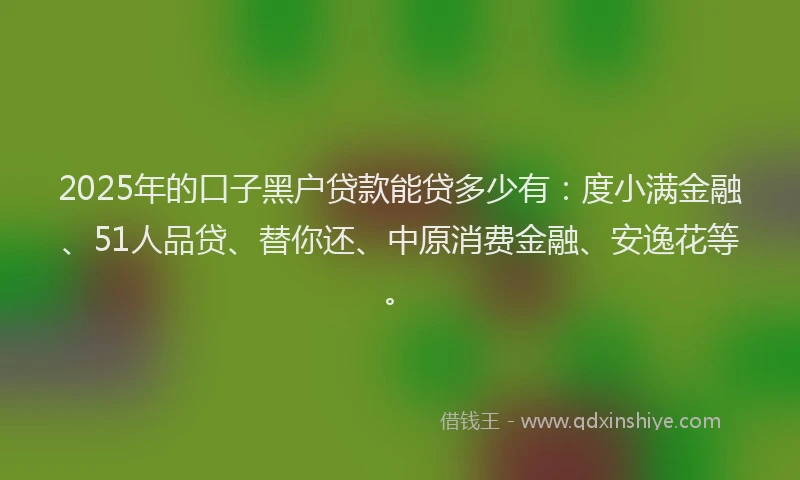 2025年的口子黑户贷款能贷多少有：度小满金融、51人品贷、替你还、中原消费金融、安逸花等。