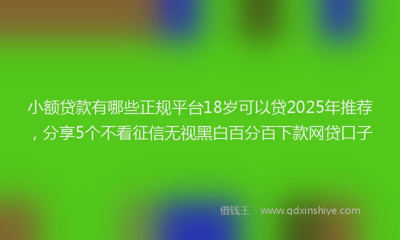 小额贷款有哪些正规平台18岁可以贷2025年推荐，分享5个不看征信无视黑白百分百下款网贷口子