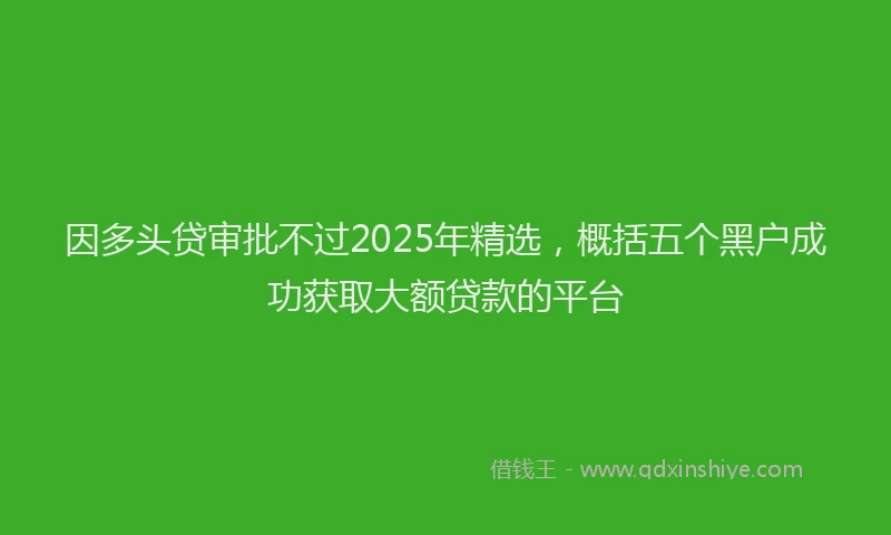 因多头贷审批不过2025年精选，概括五个黑户成功获取大额贷款的平台