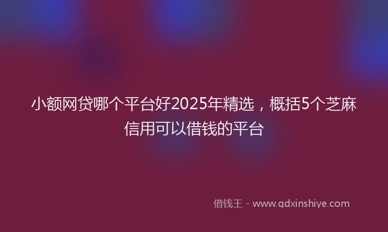小额网贷哪个平台好2025年精选，概括5个芝麻信用可以借钱的平台