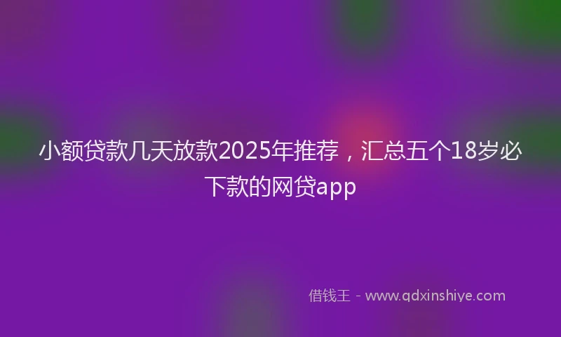 小额贷款几天放款2025年推荐，汇总五个18岁必下款的网贷app