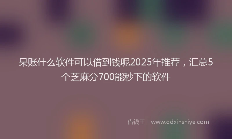 呆账什么软件可以借到钱呢2025年推荐，汇总5个芝麻分700能秒下的软件