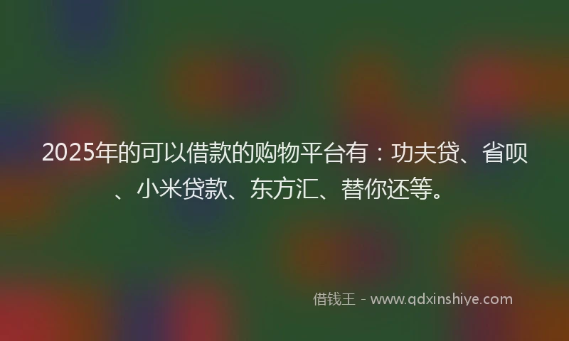 2025年的可以借款的购物平台有：功夫贷、省呗、小米贷款、东方汇、替你还等。