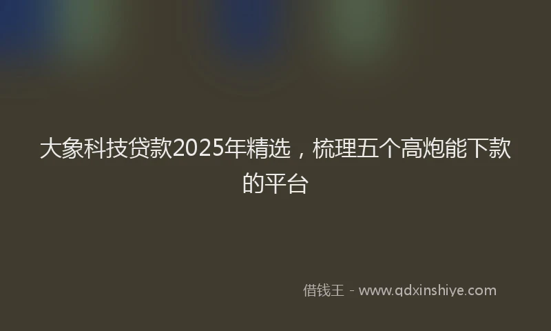 大象科技贷款2025年精选，梳理五个高炮能下款的平台