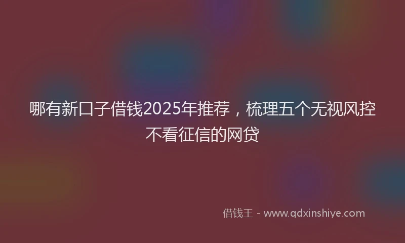 哪有新口子借钱2025年推荐，梳理五个无视风控不看征信的网贷