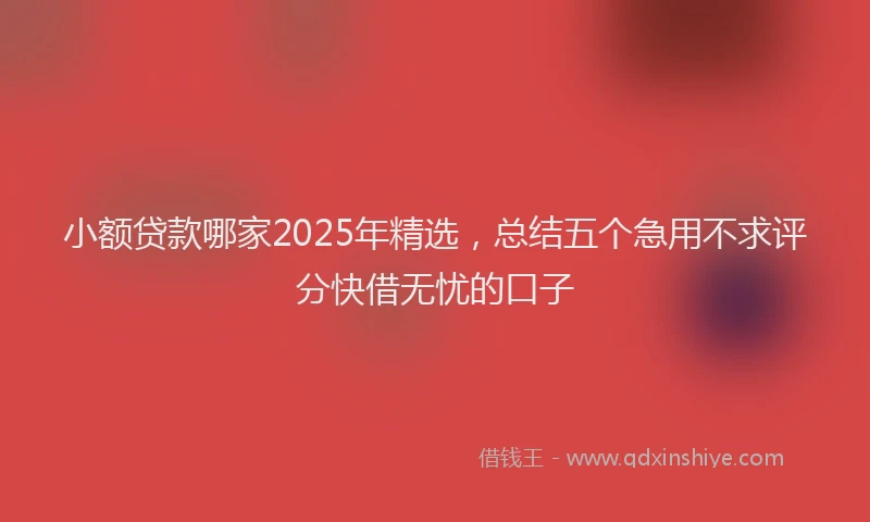 小额贷款哪家2025年精选，总结五个急用不求评分快借无忧的口子
