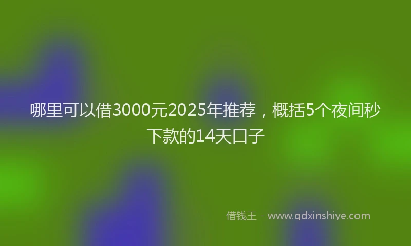 哪里可以借3000元2025年推荐，概括5个夜间秒下款的14天口子