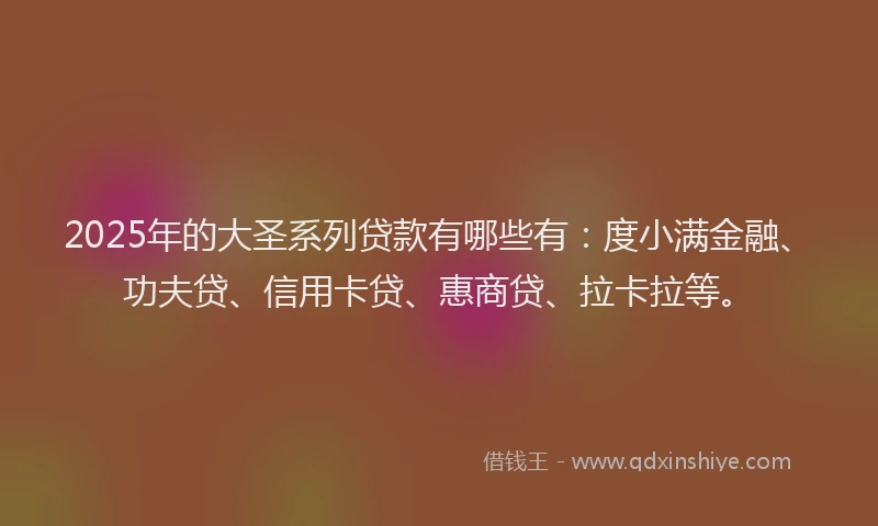 2025年的大圣系列贷款有哪些有：度小满金融、功夫贷、信用卡贷、惠商贷、拉卡拉等。