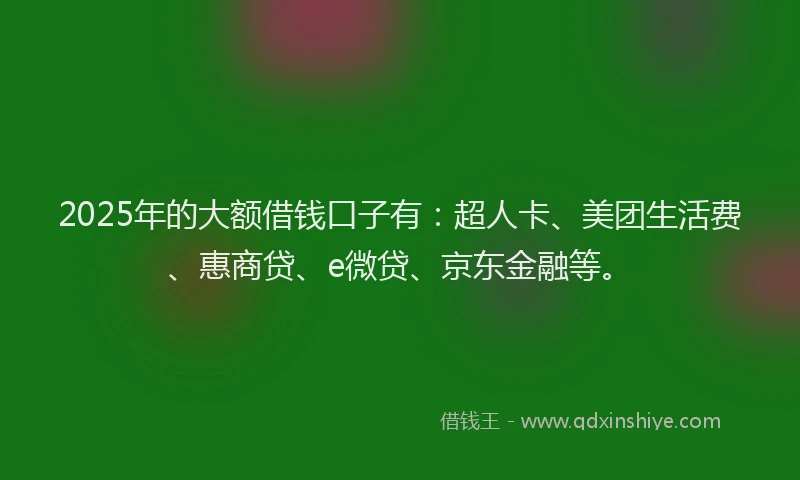 2025年的大额借钱口子有：超人卡、美团生活费、惠商贷、e微贷、京东金融等。