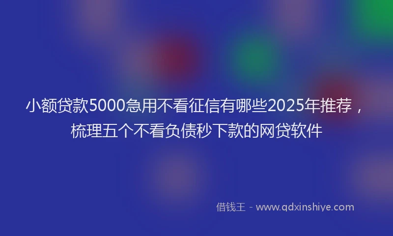 小额贷款5000急用不看征信有哪些2025年推荐，梳理五个不看负债秒下款的网贷软件