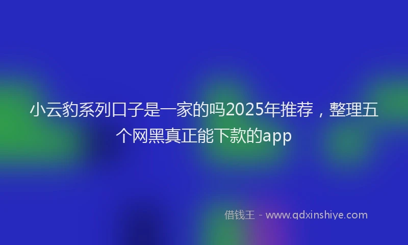 小云豹系列口子是一家的吗2025年推荐，整理五个网黑真正能下款的app