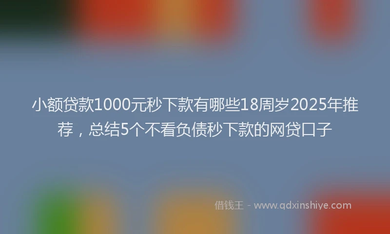 小额贷款1000元秒下款有哪些18周岁2025年推荐，总结5个不看负债秒下款的网贷口子