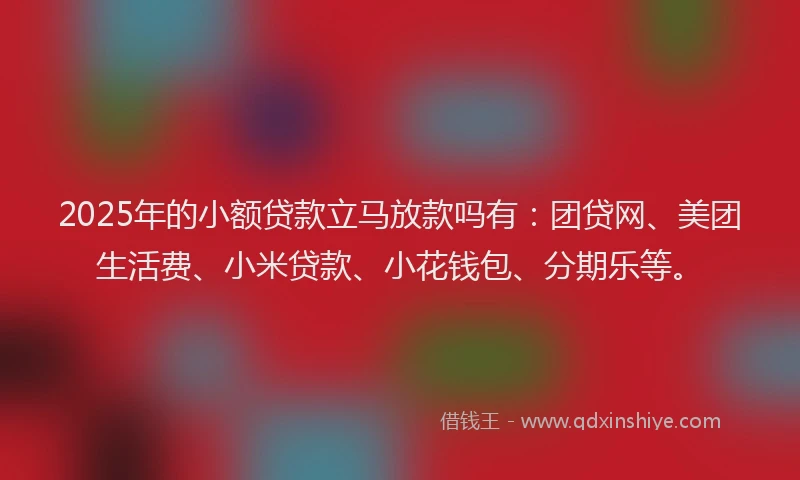2025年的小额贷款立马放款吗有：团贷网、美团生活费、小米贷款、小花钱包、分期乐等。