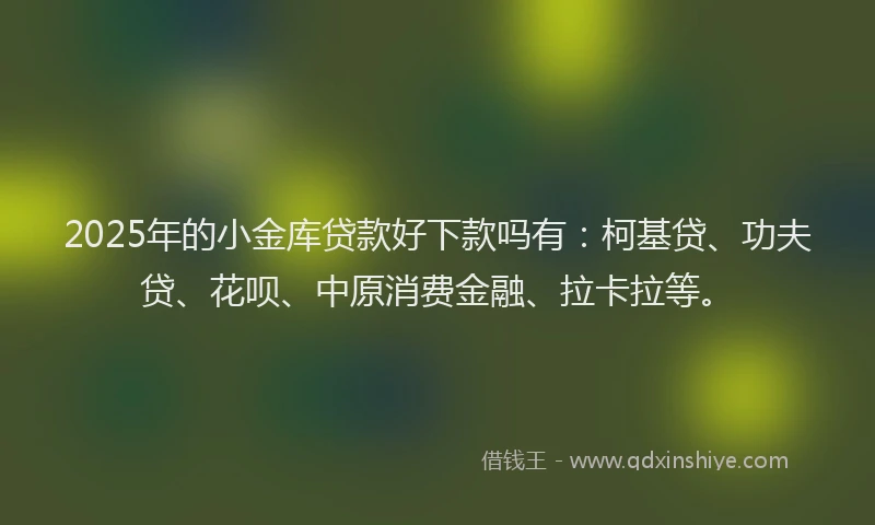 2025年的小金库贷款好下款吗有：柯基贷、功夫贷、花呗、中原消费金融、拉卡拉等。