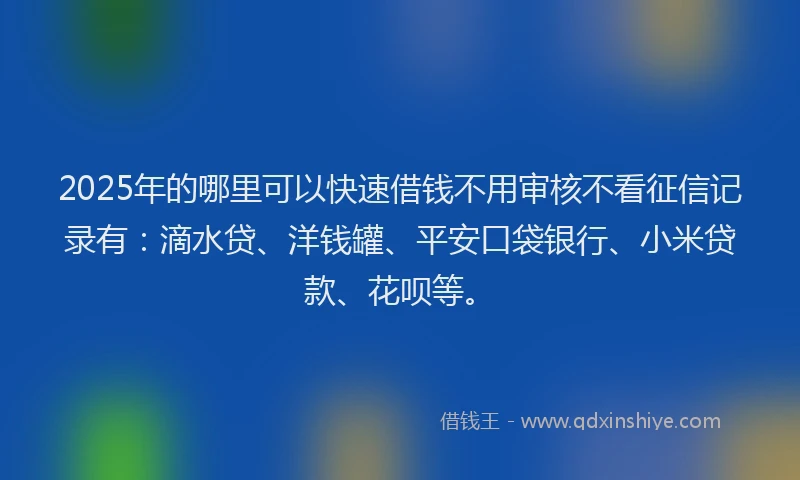 2025年的哪里可以快速借钱不用审核不看征信记录有：滴水贷、洋钱罐、平安口袋银行、小米贷款、花呗等。