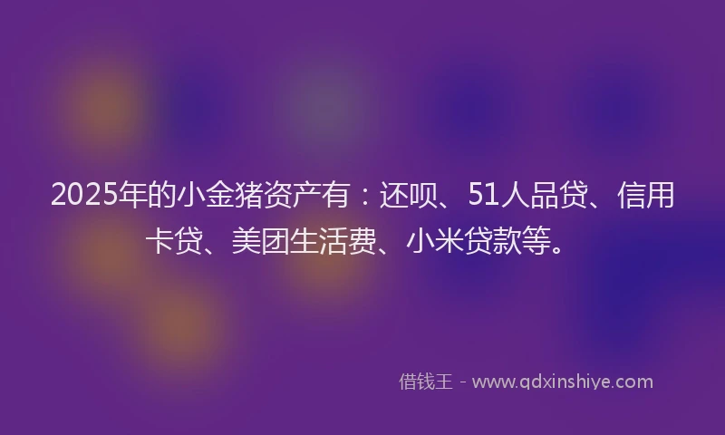 2025年的小金猪资产有：还呗、51人品贷、信用卡贷、美团生活费、小米贷款等。
