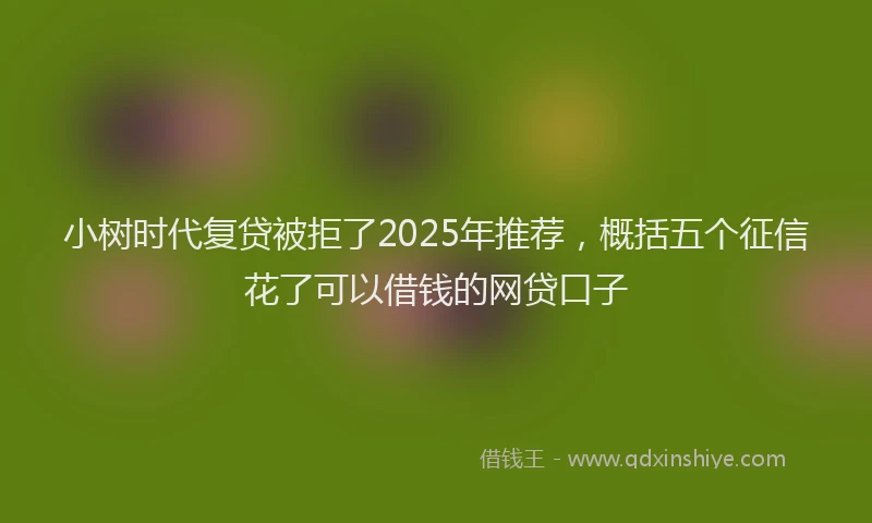 小树时代复贷被拒了2025年推荐，概括五个征信花了可以借钱的网贷口子