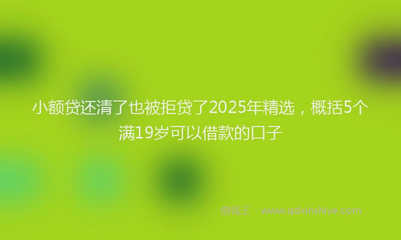 小额贷还清了也被拒贷了2025年精选，概括5个满19岁可以借款的口子