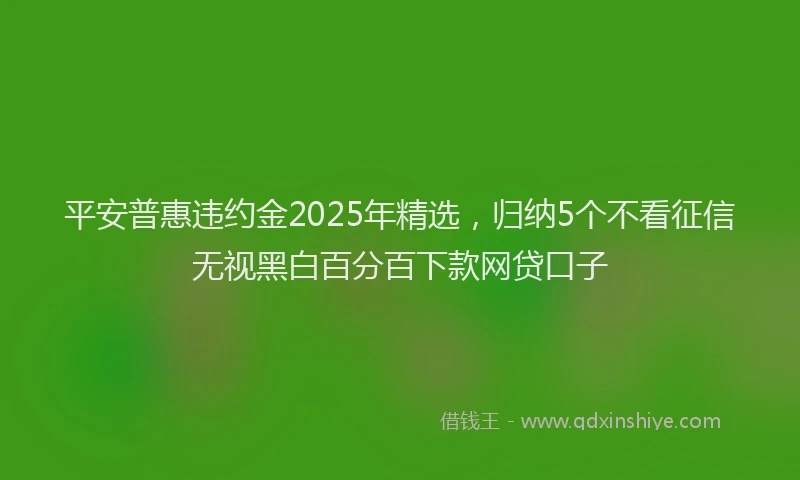 平安普惠违约金2025年精选，归纳5个不看征信无视黑白百分百下款网贷口子
