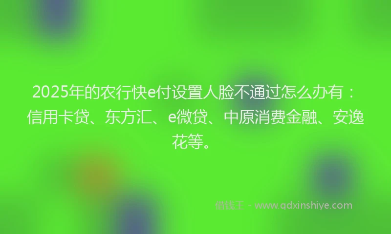 2025年的农行快e付设置人脸不通过怎么办有：信用卡贷、东方汇、e微贷、中原消费金融、安逸花等。