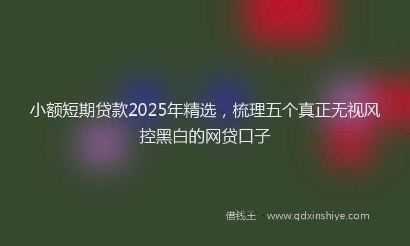 小额短期贷款2025年精选，梳理五个真正无视风控黑白的网贷口子