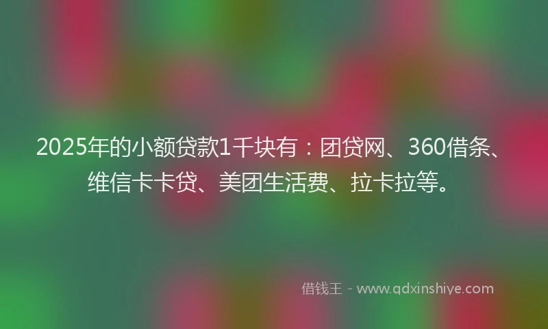 2025年的小额贷款1千块有：团贷网、360借条、维信卡卡贷、美团生活费、拉卡拉等。